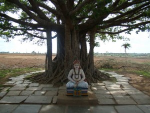 Sri Gopala Dasaru